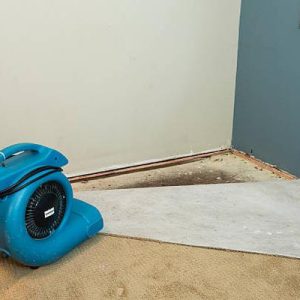 The Role of Professionals in Water Damage Repair