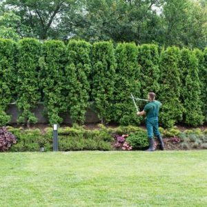 Transform Your Outdoor Space with Fayetteville Landscaping Service