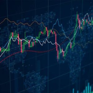 Invest in Stock Market App with Live Insights